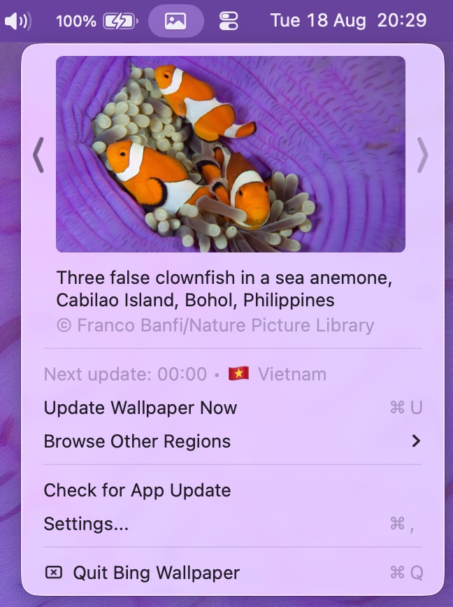 BingWallpaper menu bar popover showing today's Bing image, its caption, next update time and quick actions